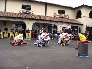 05 - Mand House Anni- Waking Lion