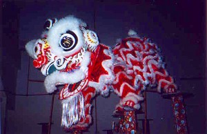lion3 