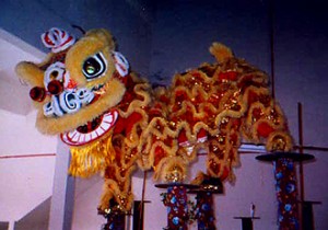 lion5 