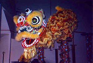lion6 